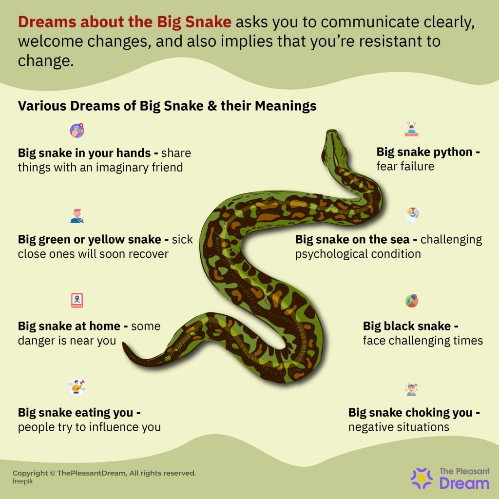 Big Snake in Dream – Clear Communication Is The Need Of The Hour