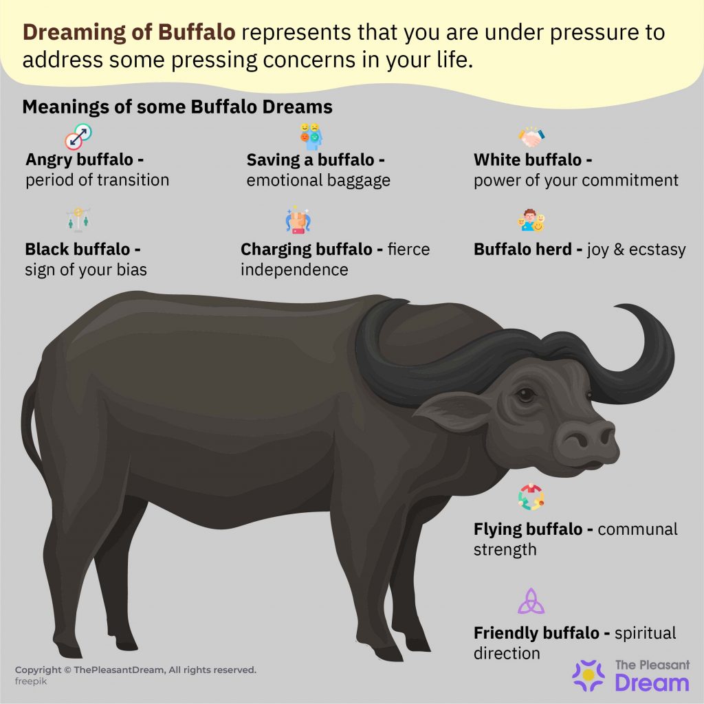 Buffalo Dream Meaning - Time To Unveil Scenarios & Meanings