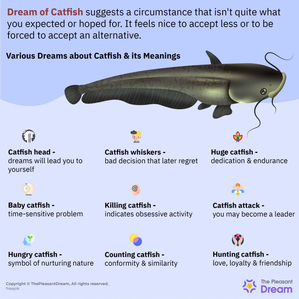 Dream about Catfish - Various Types & Interpretations to Decode