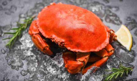 dream about crabs 60 scenarios and their meaning