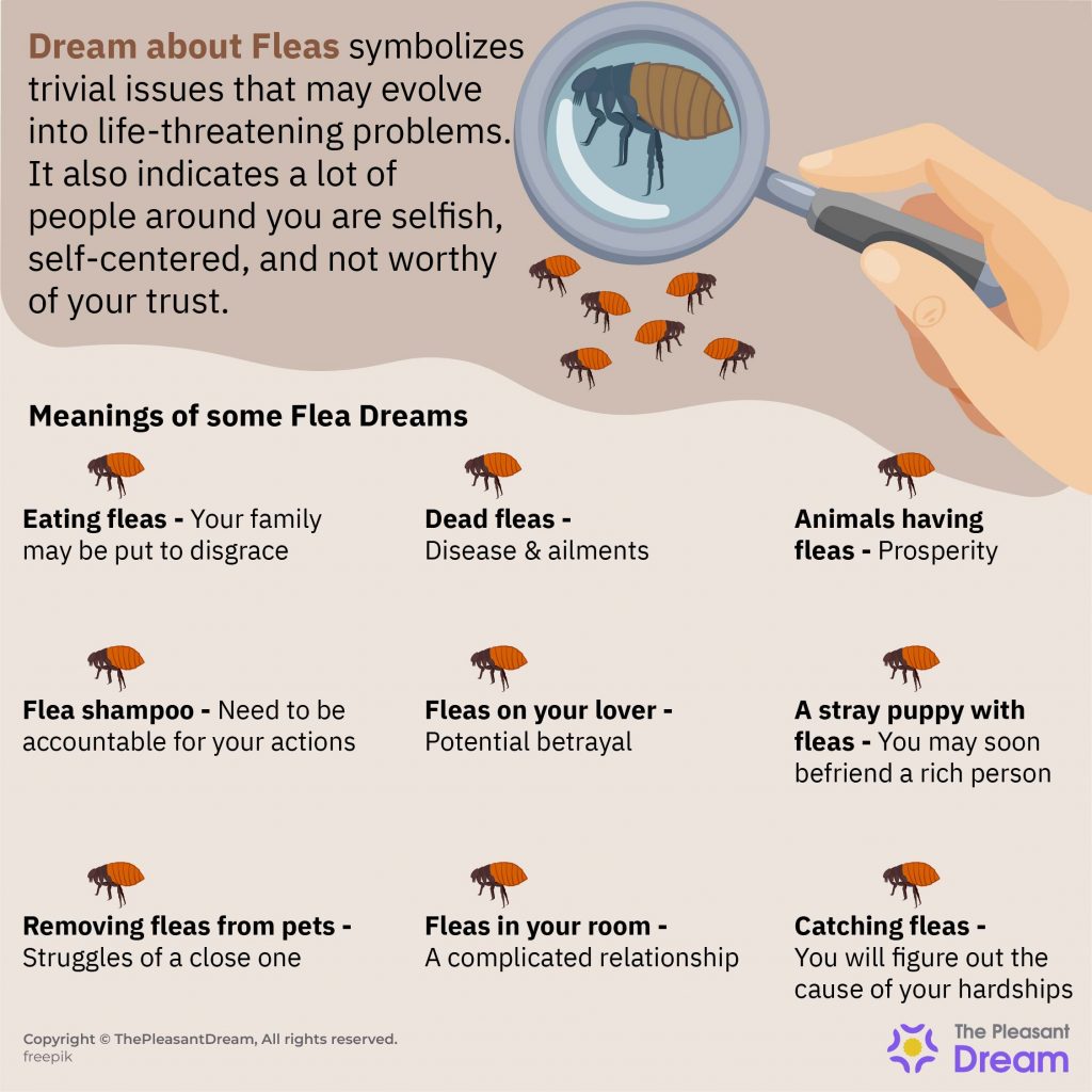 Dream About Fleas - Scenarios and Their Interpretations