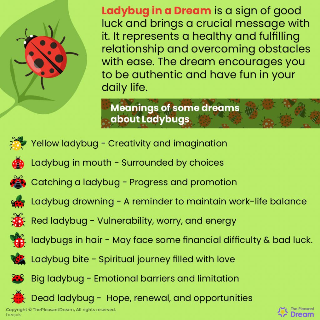 Dream about Ladybugs - Leading On The Path Of Divinity