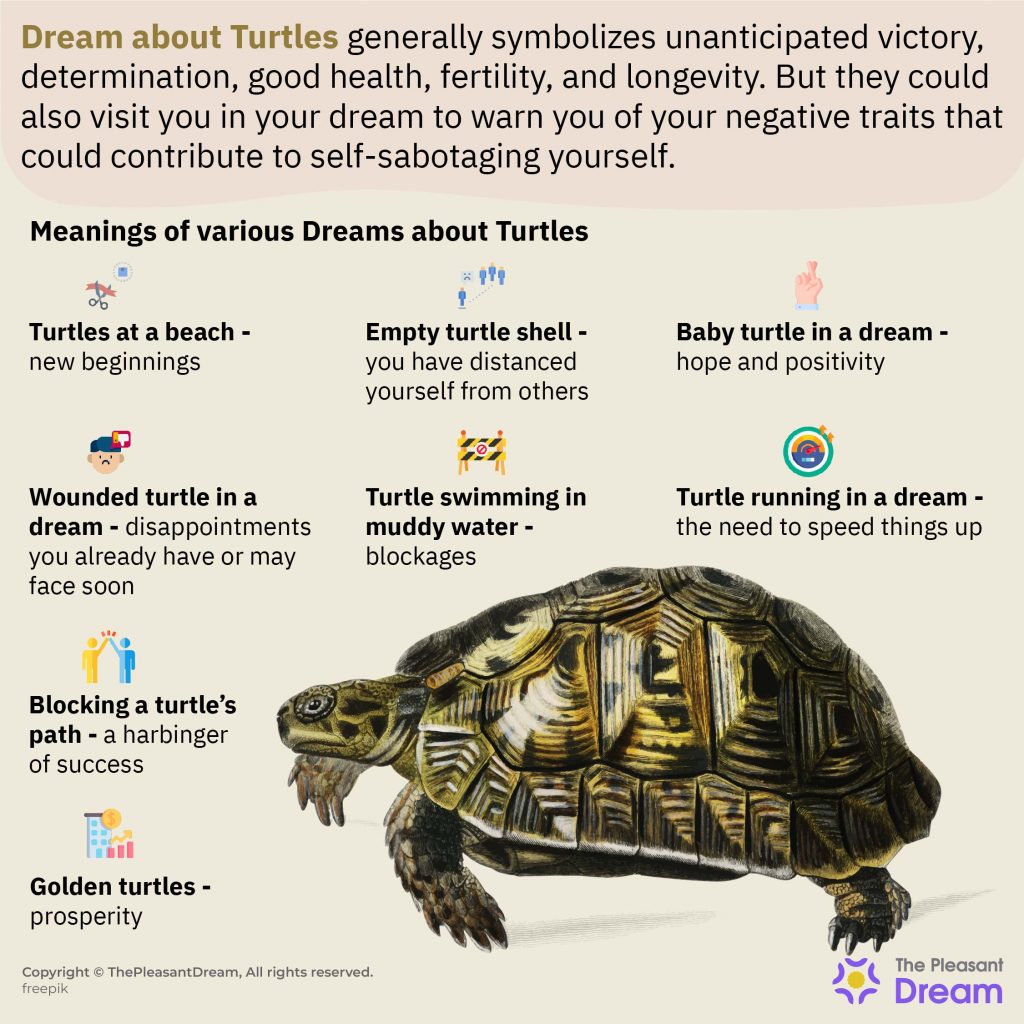 Dream About Turtles: Interpreting Scenarios & Meanings