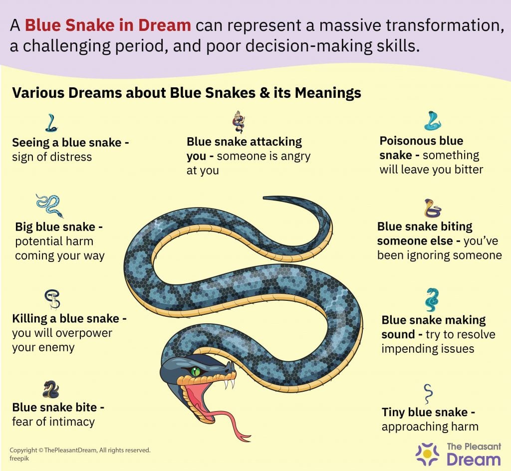 Dream of A Blue Snake – Several Types & Their Interpretations