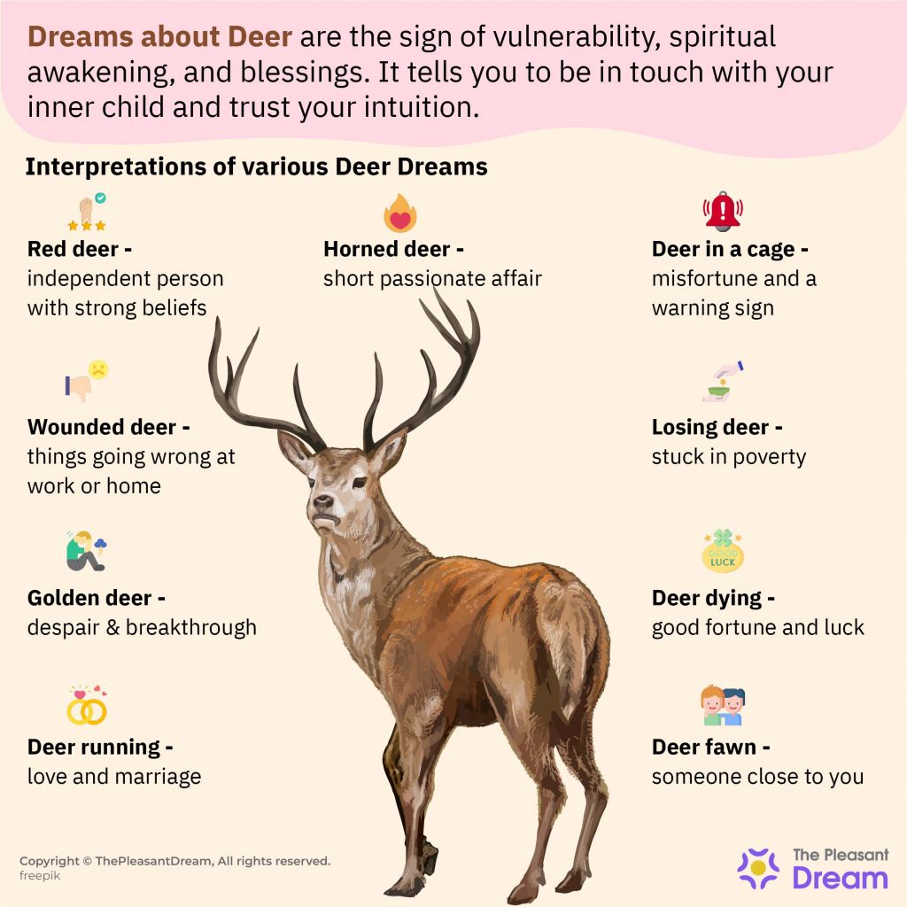 Dream of Deer - Various Types of Dreams and Their Interpretations