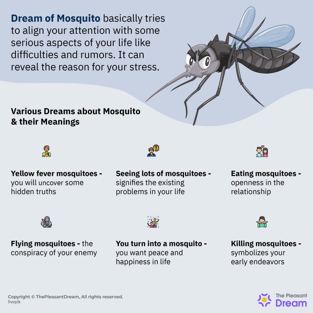 Dream of Mosquito - Several Themes & Meanings