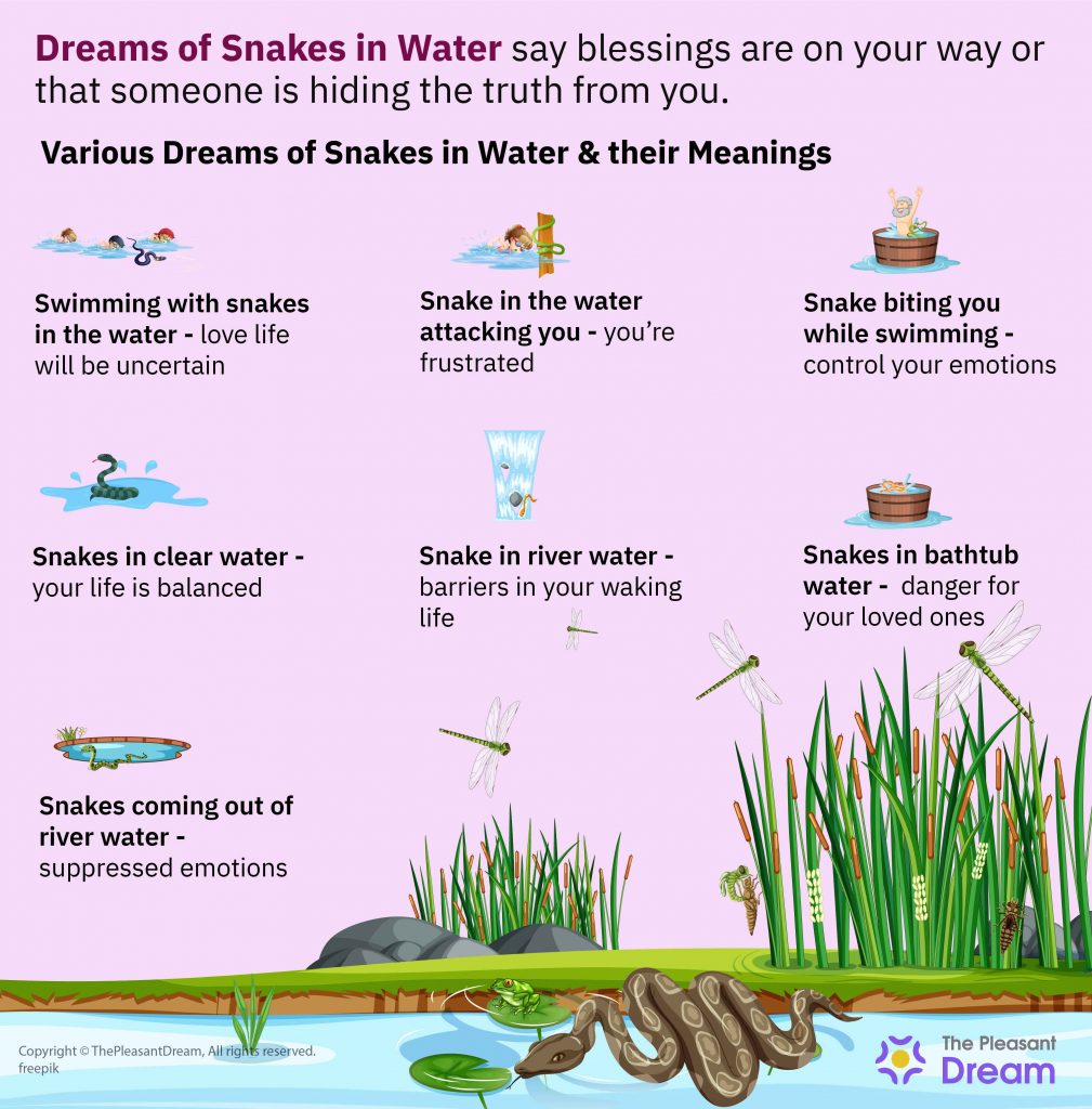 Dream of Snakes in Water – Various Types & Their Interpretations