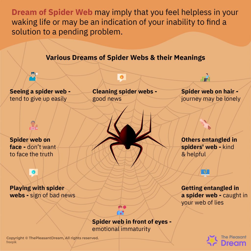 Dream of Spider Web – Various Types & their Interpretations
