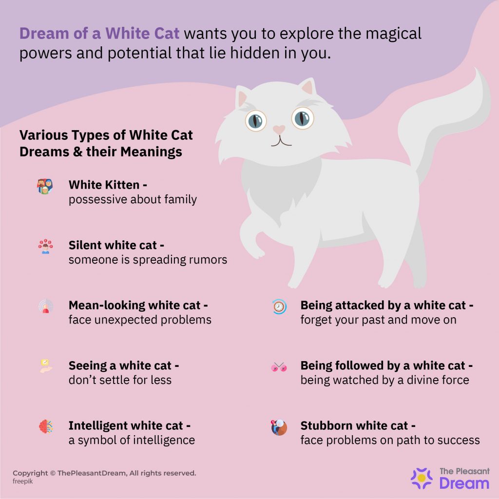 Dream of White Cat – Various Types & their Interpretations