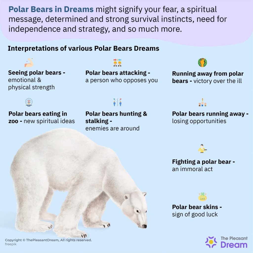 Dreaming about Polar Bears – Various Types & Their Interpretations