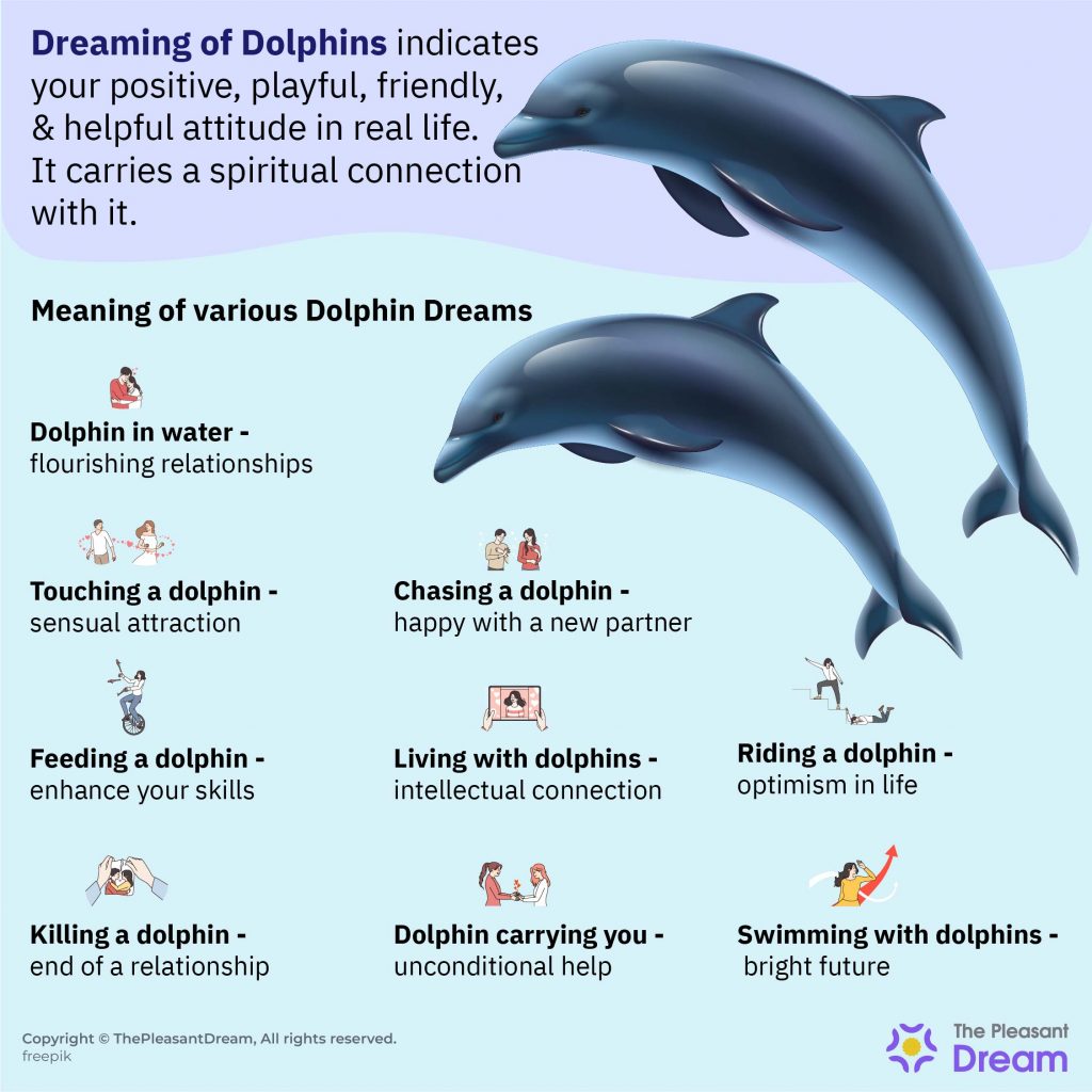 Dreaming of Dolphins - Dive Into Interesting Plots & Interpretations