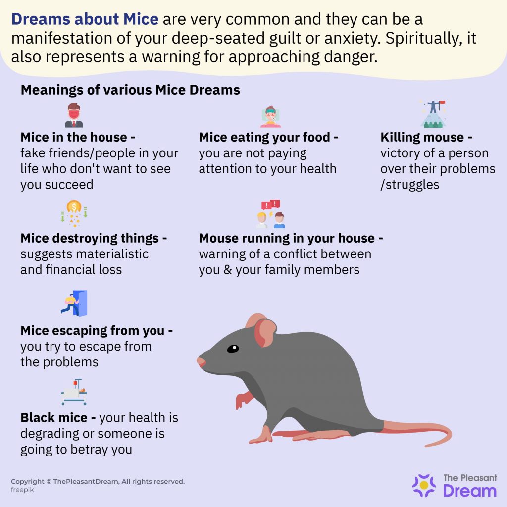 Dreaming of Mice - Various Types of Dreams & its Meaning