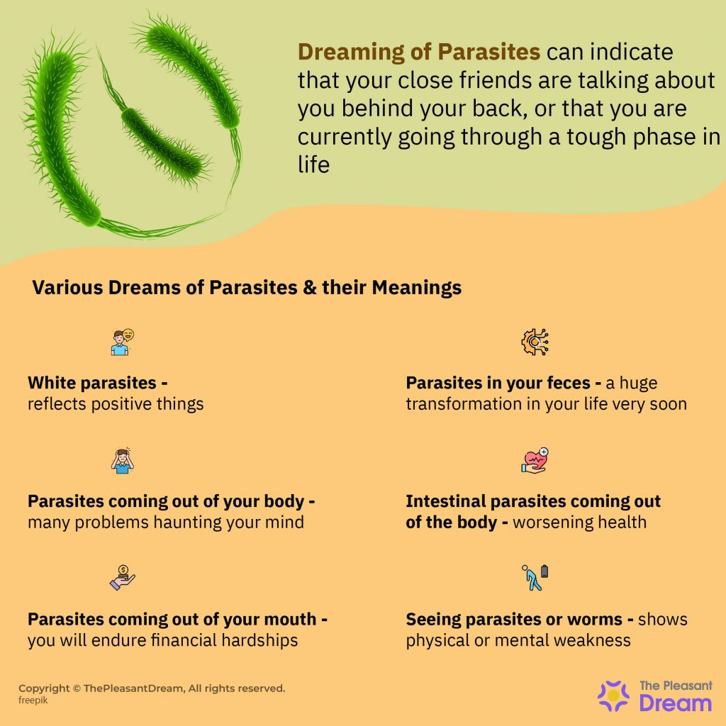 Dreaming of Parasites - Are You Engaging in Self-destructive Behavior