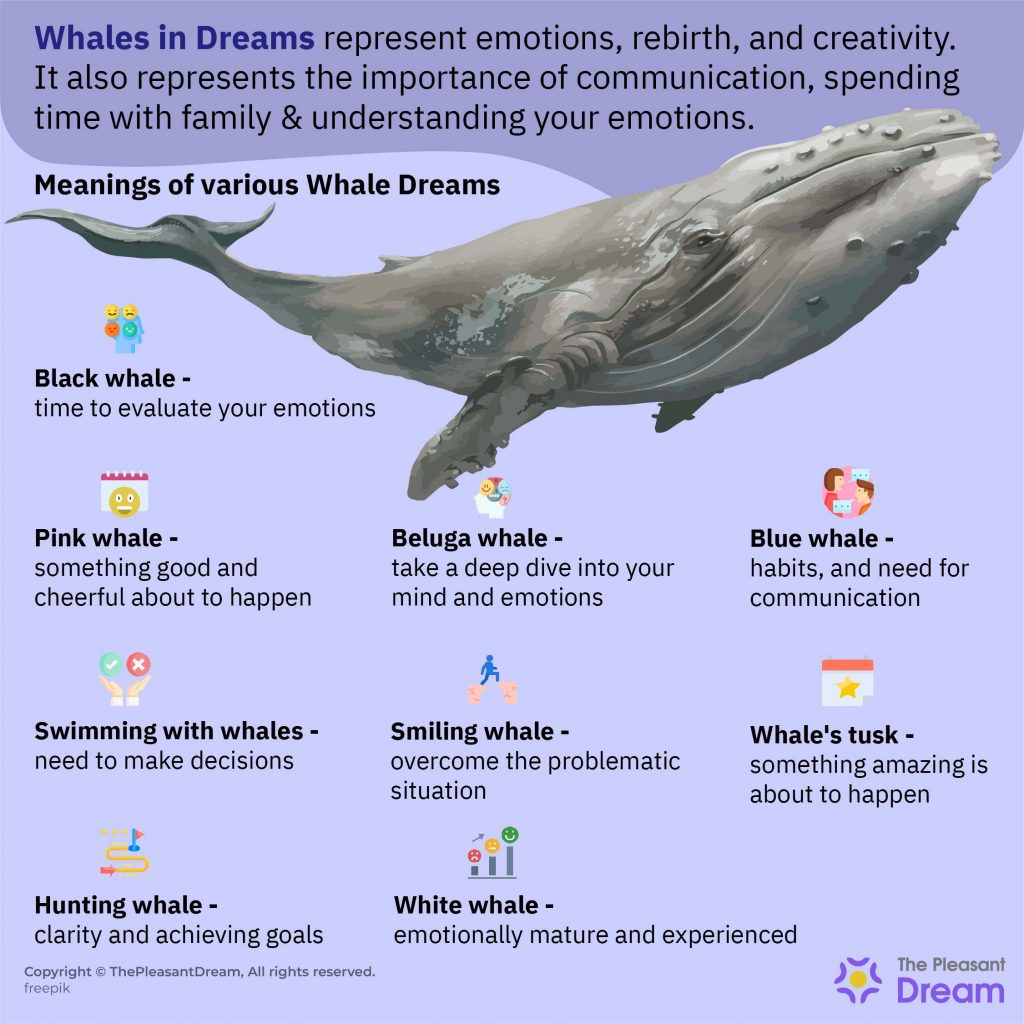 Dreaming of Whales – A Gigantic Turn of Events Await