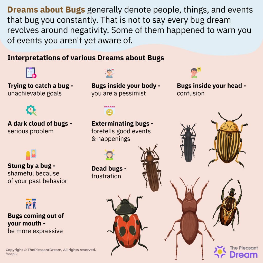 Dreams About Bugs - Scenarios & Its Meanings