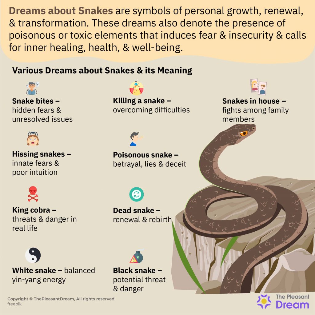 Dreams about Snakes - Various Types & Their Meanings