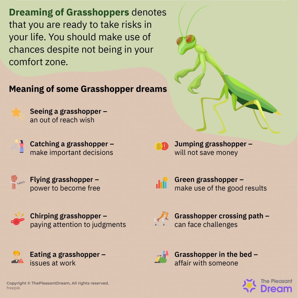Dreaming of Grasshoppers - 53 Plots and their Interpretations