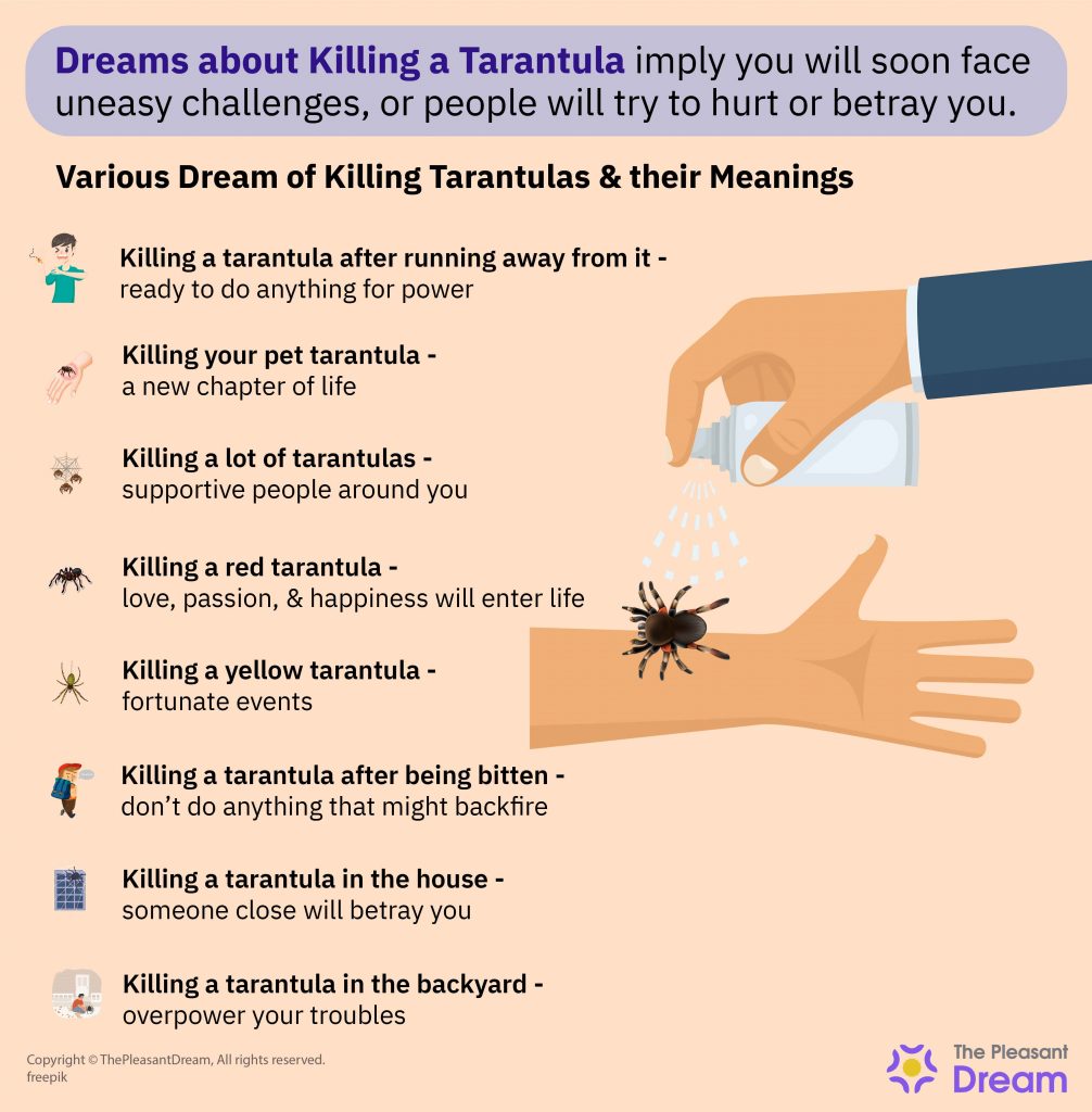 Dream about killing a tarantula meaning