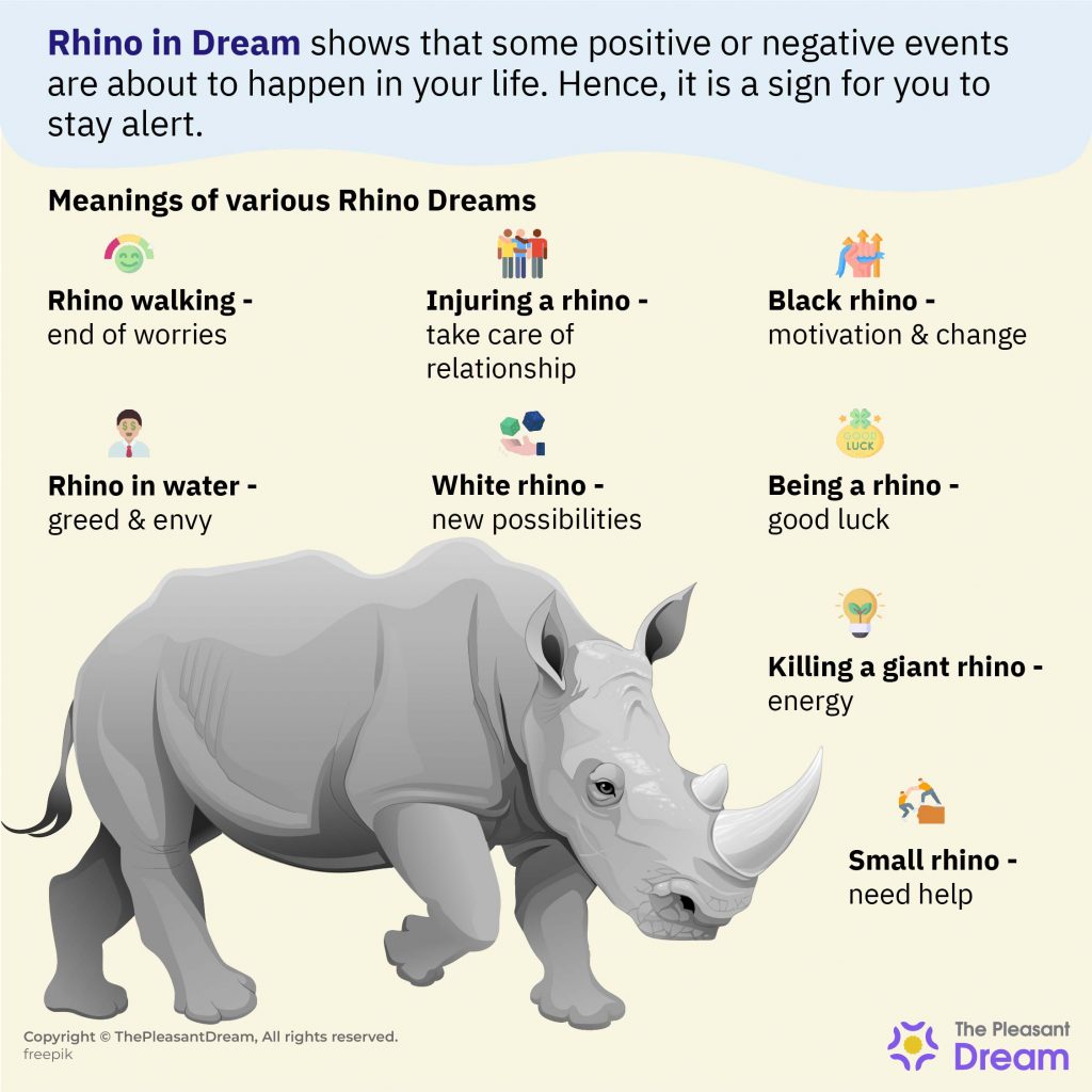 Rhino Dream Meaning - Various Scenarios & Their Interpretations